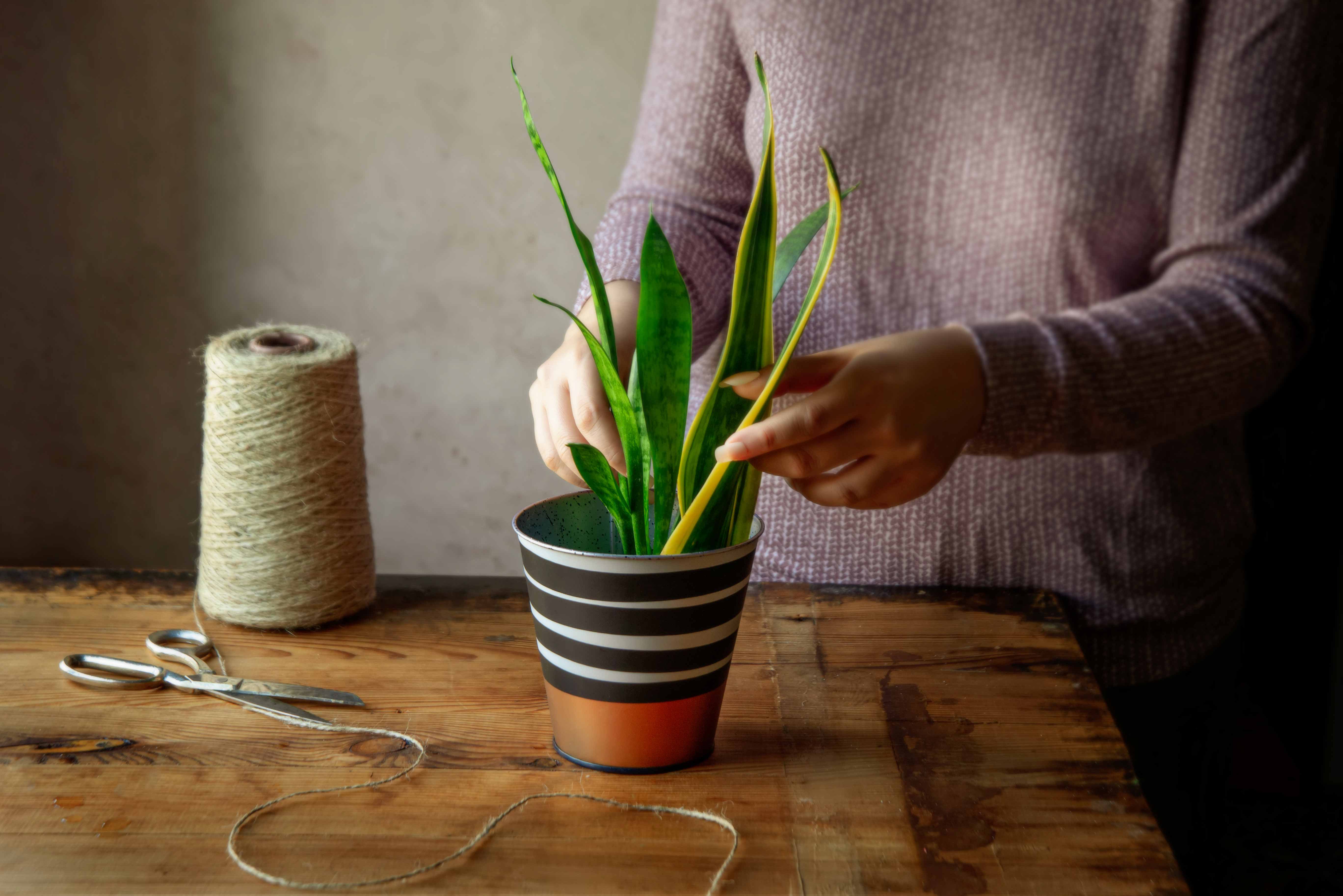 Metal Pot